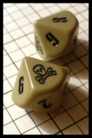 Dice : Dice - 10D - Skull and Crossbones - The Fantasy Shop St Louis Sept 2011